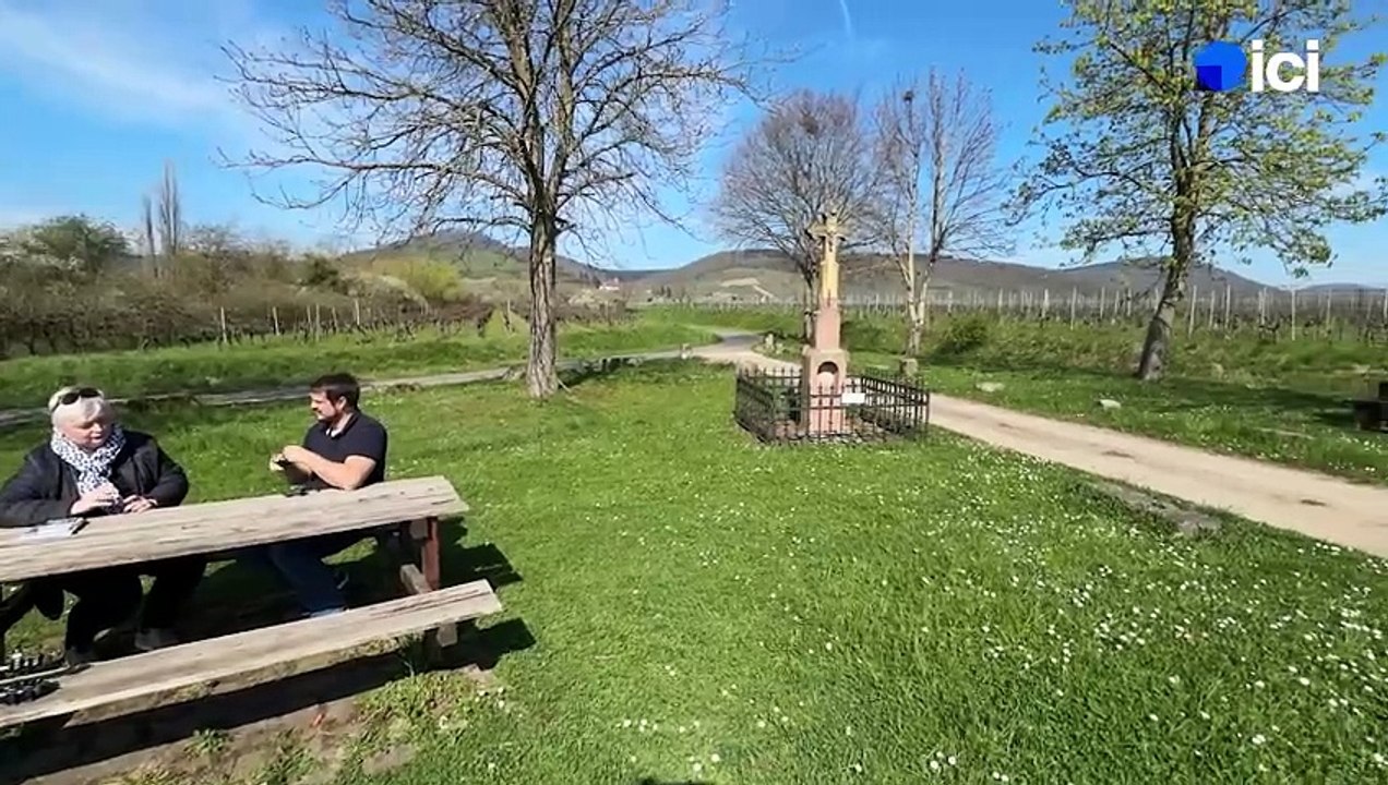 5/5 : l'Alsace à vélo en pratique, simplement le vélo pour tous !