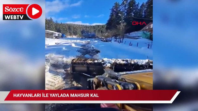 Hayvanları ile yaylada mahsur kaldı: 3 gün sonra kurtarıldı