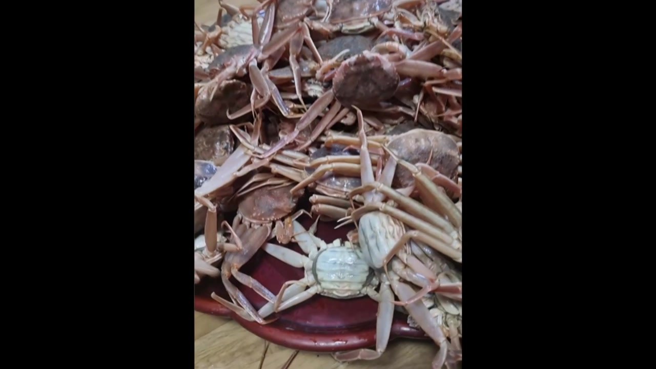 선장 몰래 암컷 대게 빼돌려 유통한 베트남 선원들 검거 / YTN