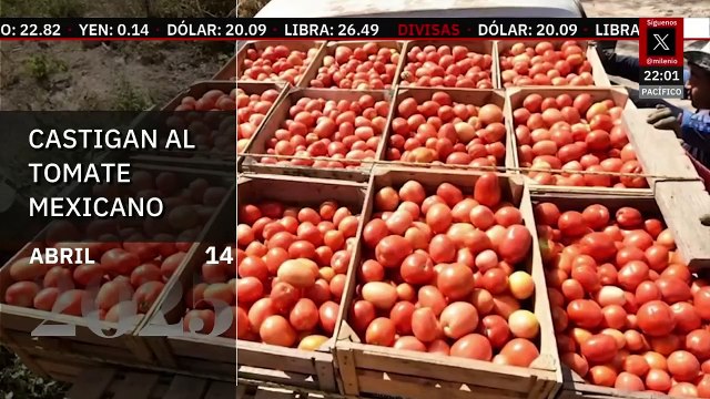 Sheinbaum propone periodo extraordinario para leyes sobre desapariciones. Paola Barquet, 14 de abril 2025