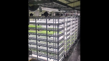 [전북] 농촌 유휴시설 활용한 K-수직농장 본격화 / YTN