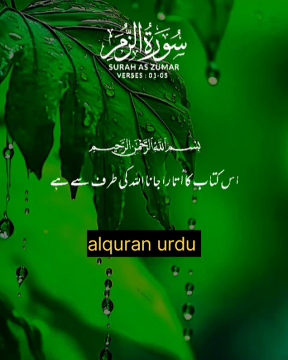surut uz zumar