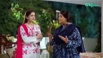 Na Tum Jano Na Hum Episode 09 (Subtitle) 14th April 2025 - Hassan Khan - Hina Tariq - Green TV