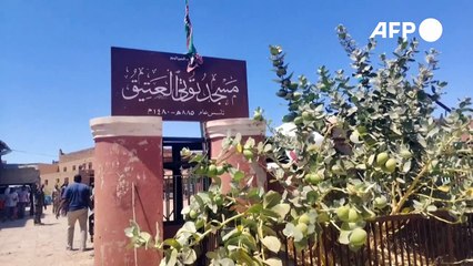 توتي من "حديقة الخرطوم" إلى جزيرة مهجورة جراء حرب السودان