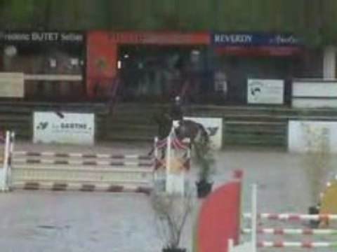 HORSE HUNTER jumper for sale 2002