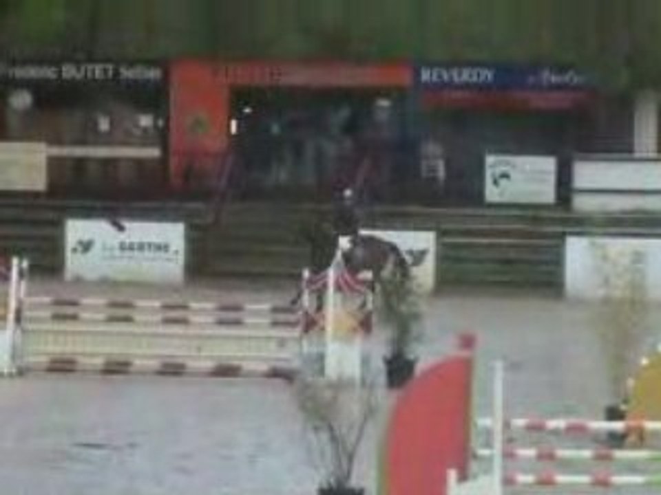 HORSE HUNTER jumper for sale 2002