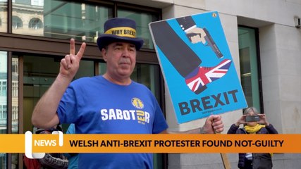 Welsh anti-Brexit campaigner cleared of wrongdoing