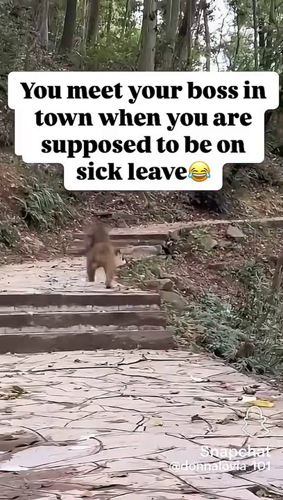 😂🙆