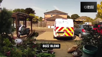 FUNNIEST Fails Compilation: Will Leave You Laughing