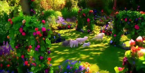 anjing dan kucing sedang bermain