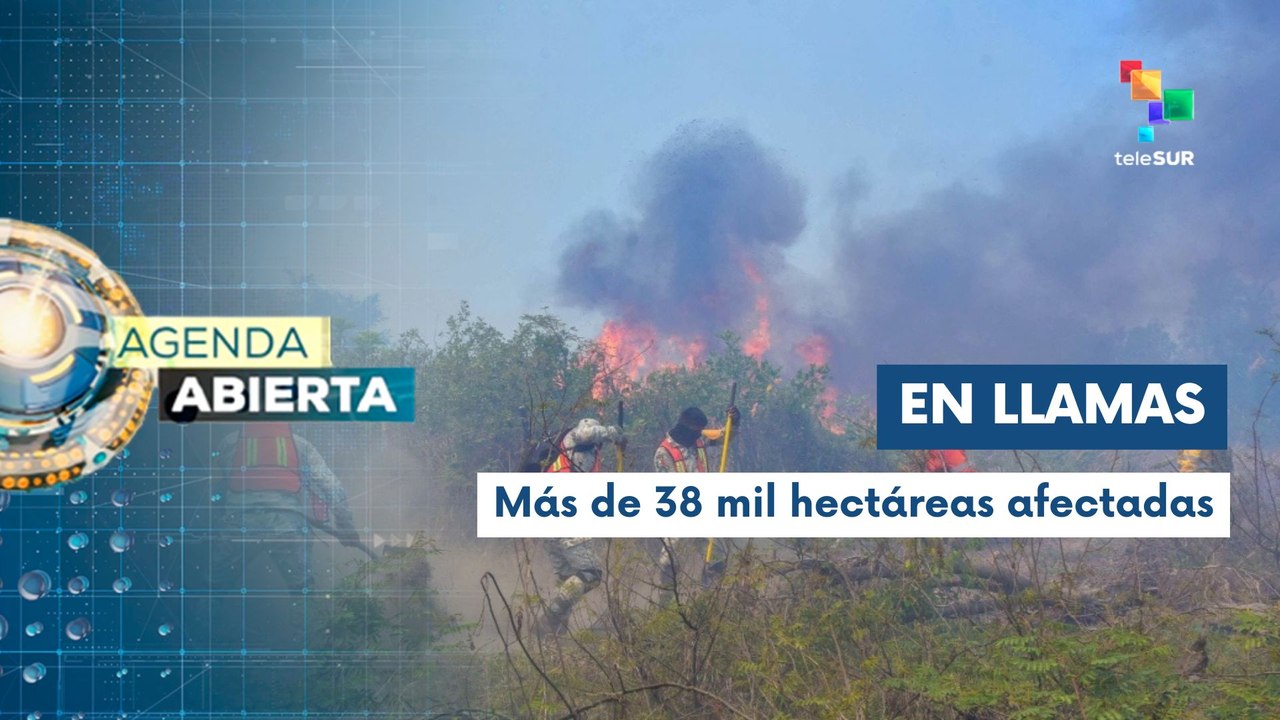 México registra 114 incendios forestales activos