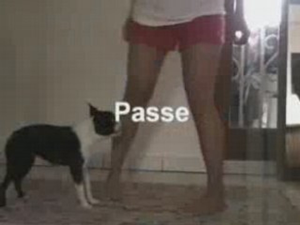Quelques tours