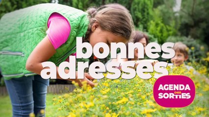 Agenda des sorties du 15 au 17 avril