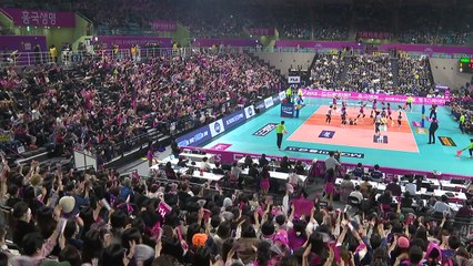 V리그 평균 관중 2% 증가...평균 2,249명 / YTN