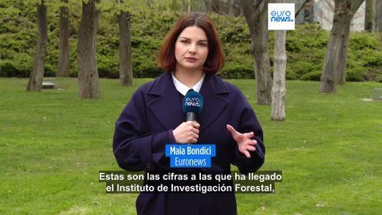 La población de osos pardos de Rumanía es mayor de lo que se pensaba, según revela un nuevo censo