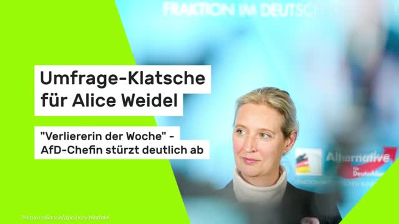 Umfrage-Klatsche für Alice Weidel: 'Verliererin der Woche' - AfD-Chefin stürzt deutlich ab
