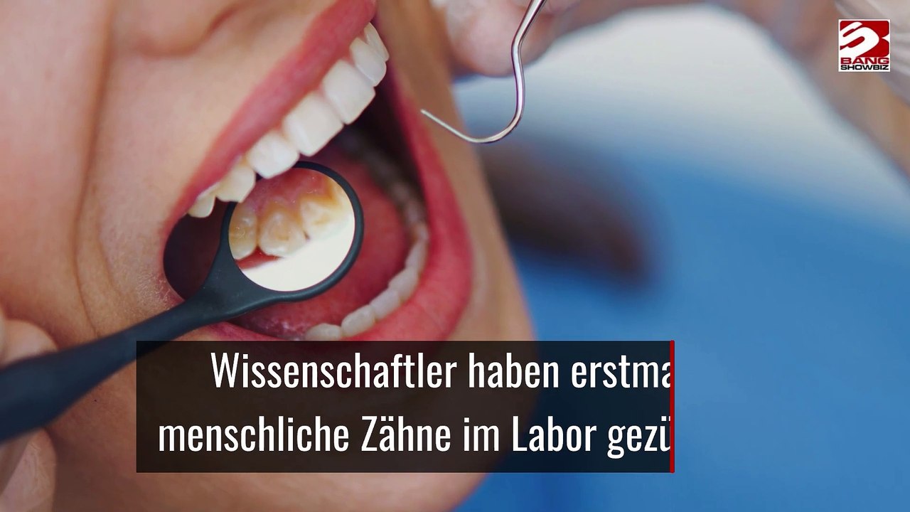 Wissenschaftler haben erstmals menschliche Zähne im Labor gezüchtet.