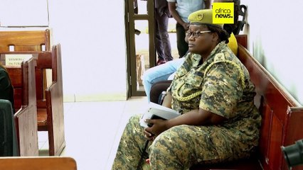 Kenya: Belgian nationals plead guilty to smuggling protected ants