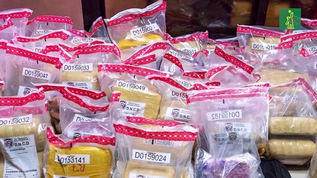 DNCD confisca 297 libras de marihuana en operativo de interdicción en Pedernales