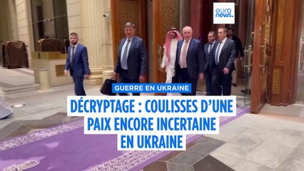 Ukraine : "La proposition de paix américaine est confuse et manque de valeurs".