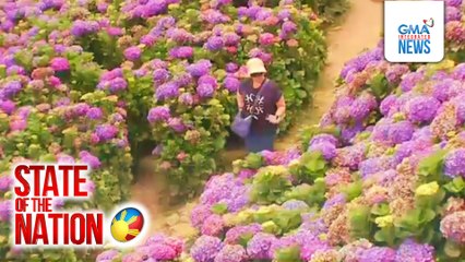 Flower farm sa Atok, Benguet, puwedeng side-trip mula Baguio City | SONA