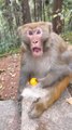 omg 😂😂😂😂  funny  comedy  trending  viral