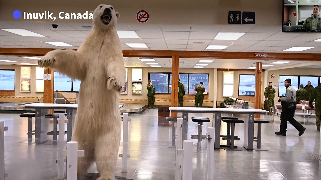 Canadian infantry trains in cold Arctic landscape