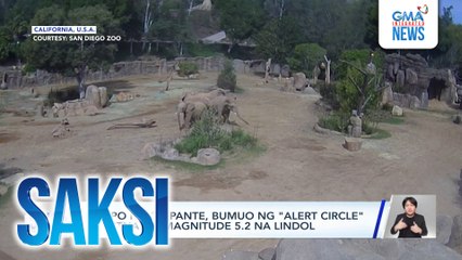 Grupo ng elepante, bumuo ng "alert circle" sa gitna ng magnitude 5.2 na lindol | Saksi