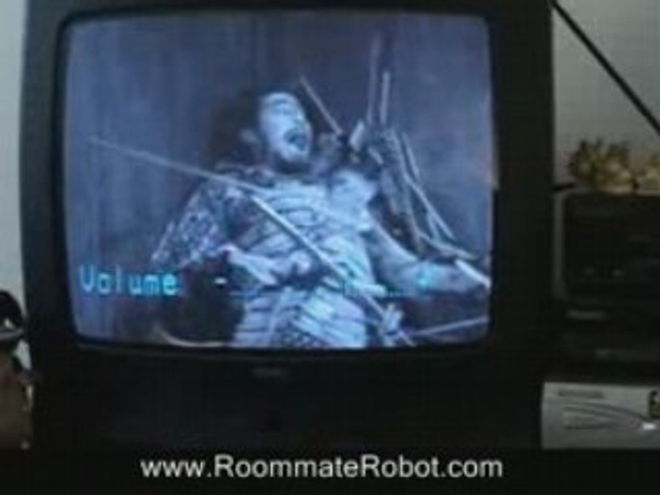 Ninja Roommate-Flatmates