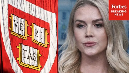 Karoline Leavitt Cites Claudine Gay's 'Stunning Confession' To Promote Pulling Funds From Harvard