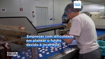Como é que os fabricantes belgas de chocolate estão a lidar com os direitos aduaneiros?