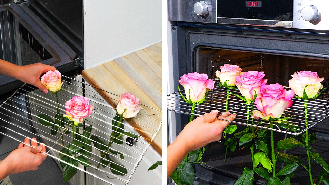 DIY Garden Upgrades for Beginner Gardeners