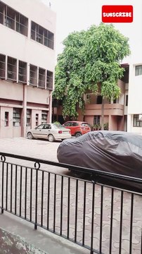 Carmel Convent School Faridabad Bachpan ki Yaad