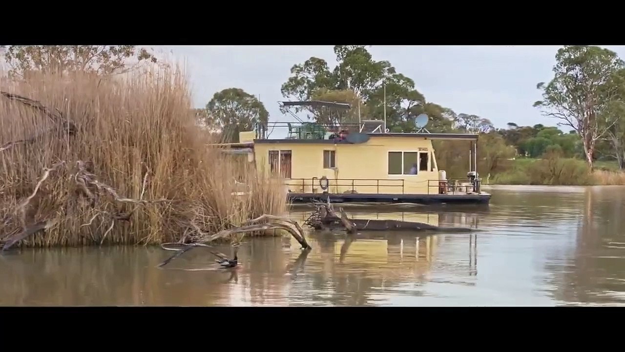 Cargo