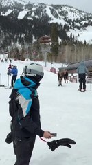Moose Wanders Into Ski Resort, and People Run Away in Fear