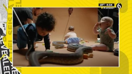 ¿Por qué los bebés no temen a las serpientes? 🐍 Descubre cómo se desarrolla el miedo en los niños