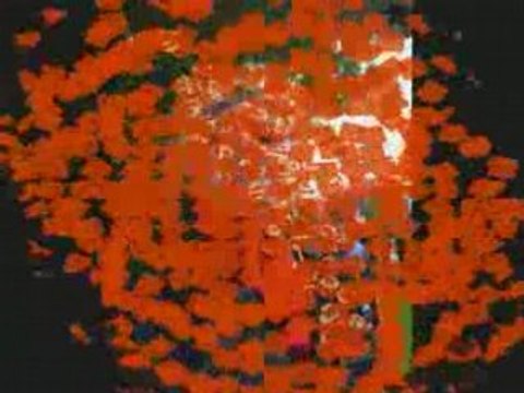 Les prodiges sont de sortis