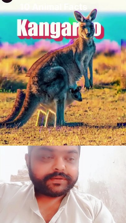 10 Amazing Animal Facts That Will Blow Your mind