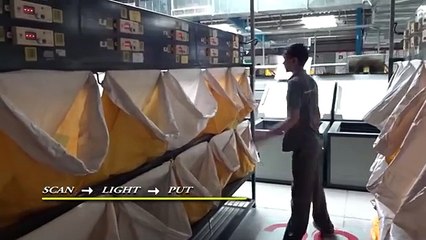 Put To Light Sorter for E-Commerce and CEP Industries