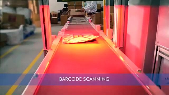 Sweep Sorter for Small and Light Weight Products by Falcon Autotech