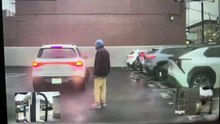 Man Blocks Parking Spot, Breaks Windshield & Gets Knocked Out!