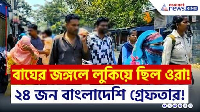 বাঘের জঙ্গলে লুকিয়ে ছিল ওরা! বেরতেই গ্রেফতার ২৪ জন অবৈধ বাংলাদেশী