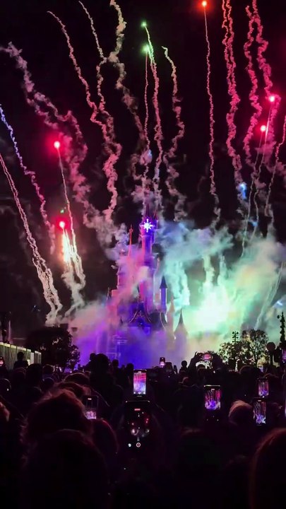 Η Σίσσυ Χρηστίδου στην Disneyland με τα παιδιά της
