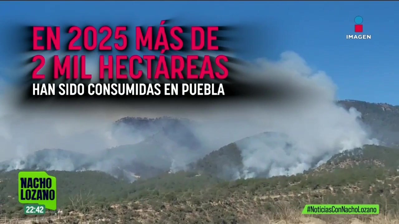 En 2025, más de 2 mil hectáreas de bosque han sido consumidas por incendios forestales en Puebla