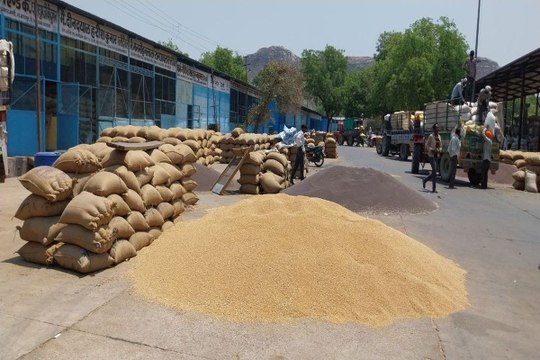 swm news...तपती धूप में खुले आसमान तले जिन्सों की हो रही तुलाई