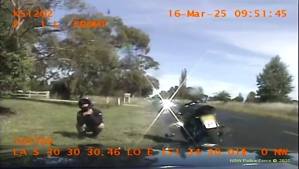 2025 Traffic Offense Compilation 🚗 | Key Violations & Penalties