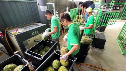 CGTN | Turning durian husks into steel
