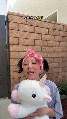 How to convince your Asian mom to get a dog