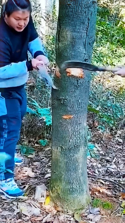Wood Cutting Gadget 🥰#shorts #viralvideo #video