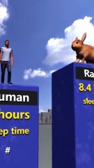 Saleemoffical presentation - World data ranking | who sleep more in a day #information